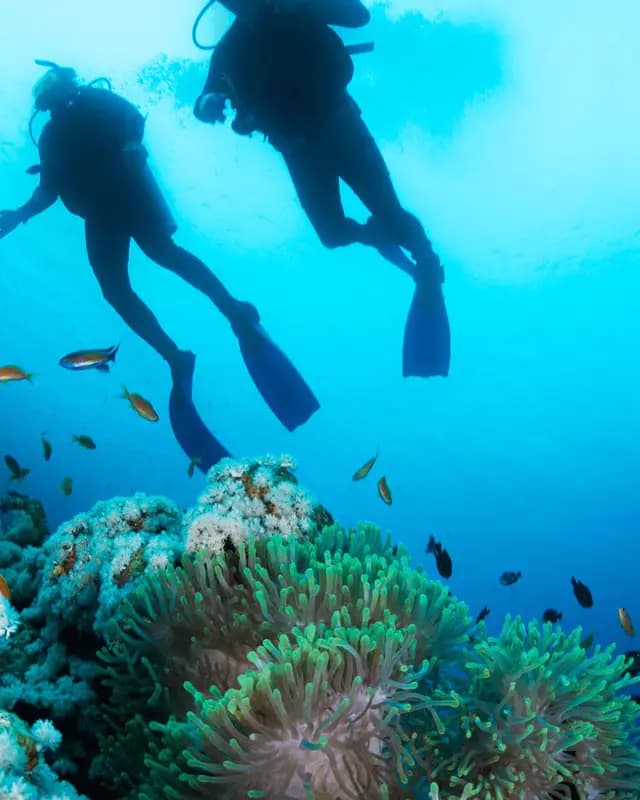 Diving Destination